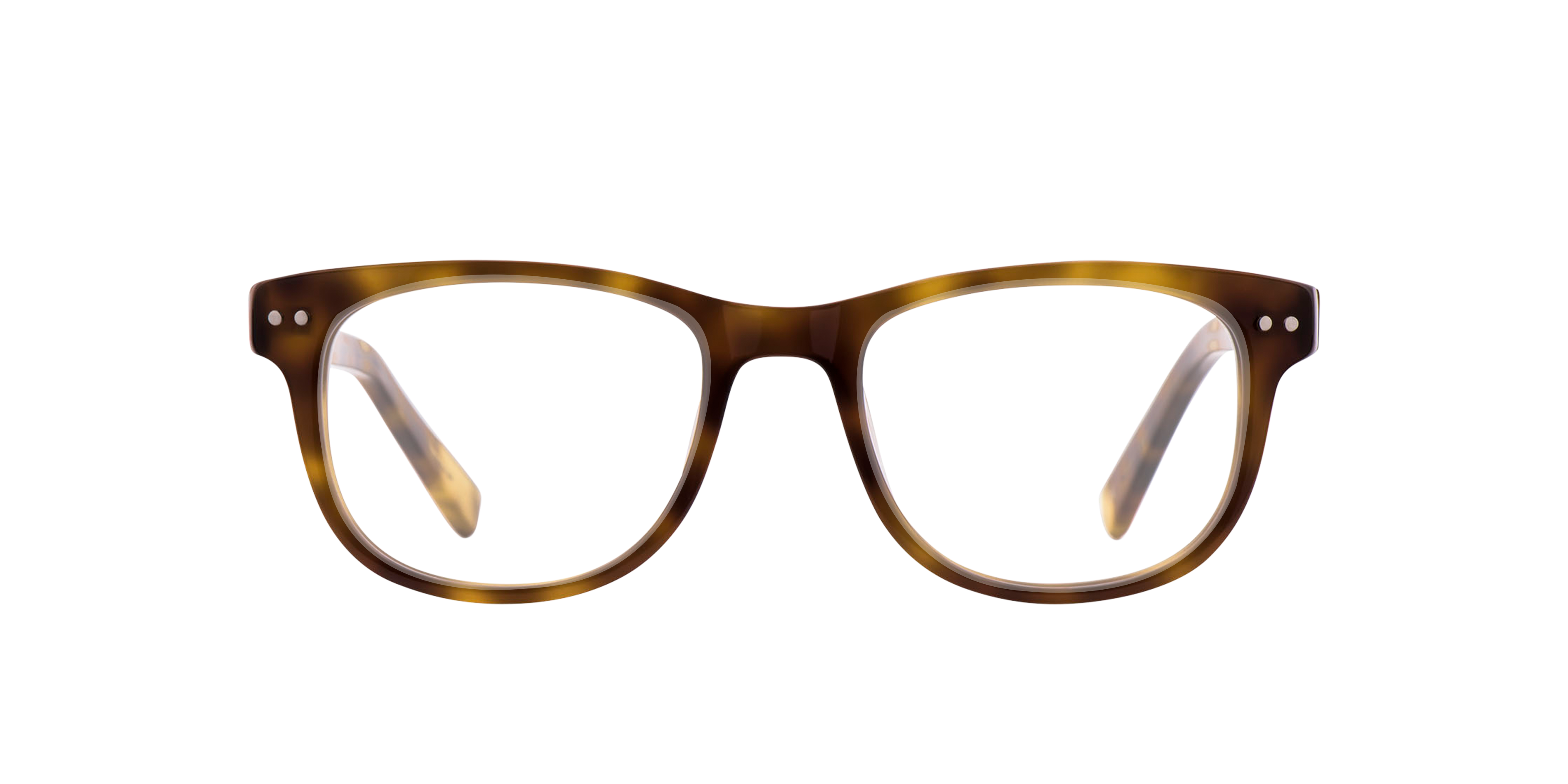 Charlie Temple 8721321260707 Hazel Tortoise/jet Black/moonlight Tortoise, Size: Small
