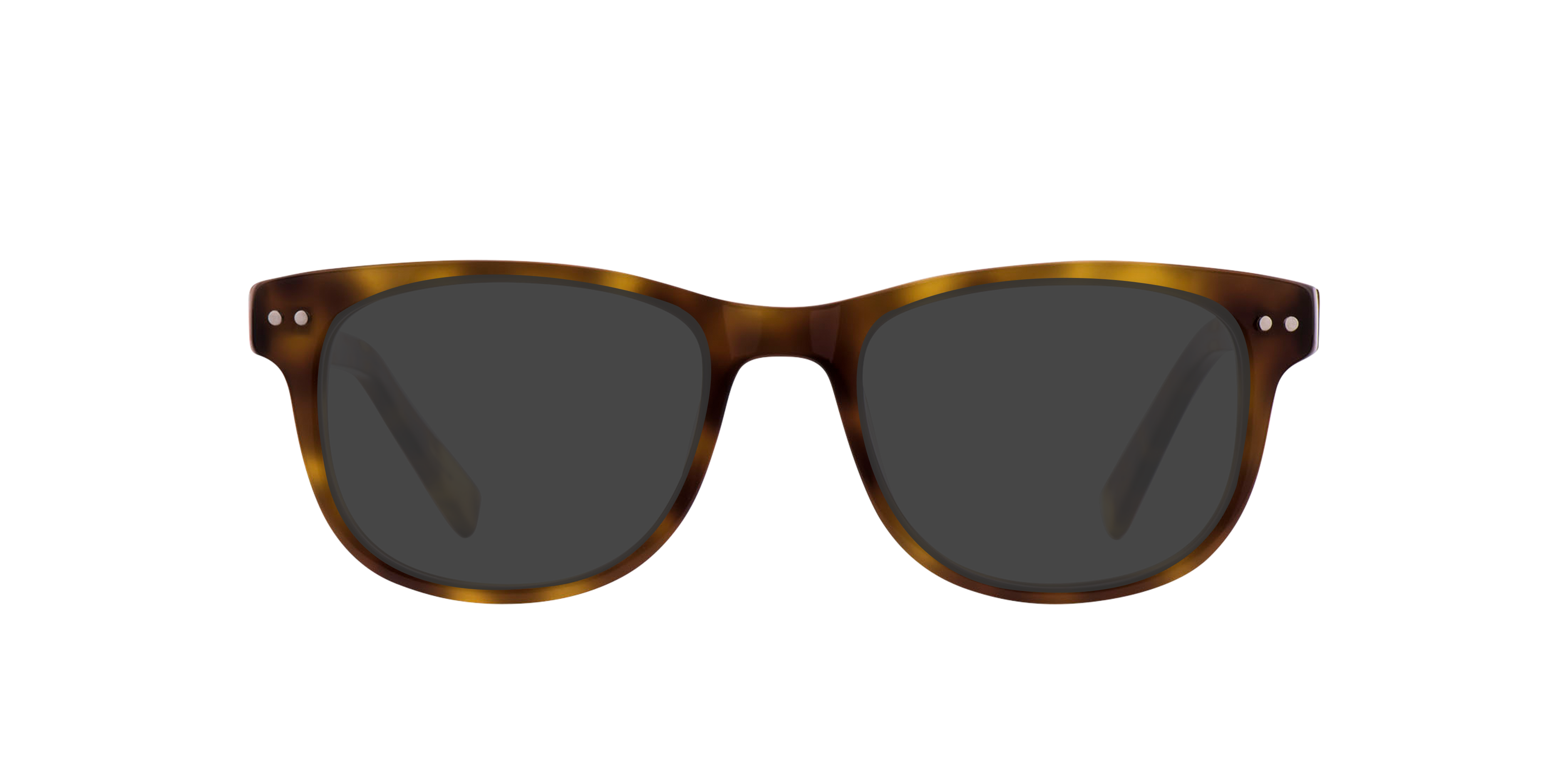 Lux Hazel Tortoise AcetatEyeglass Frames von B24, mit getönten Gläsern