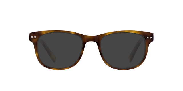 Lux Hazel Tortoise AcetaatEyeglass Frames van B24, met getinte lenzen