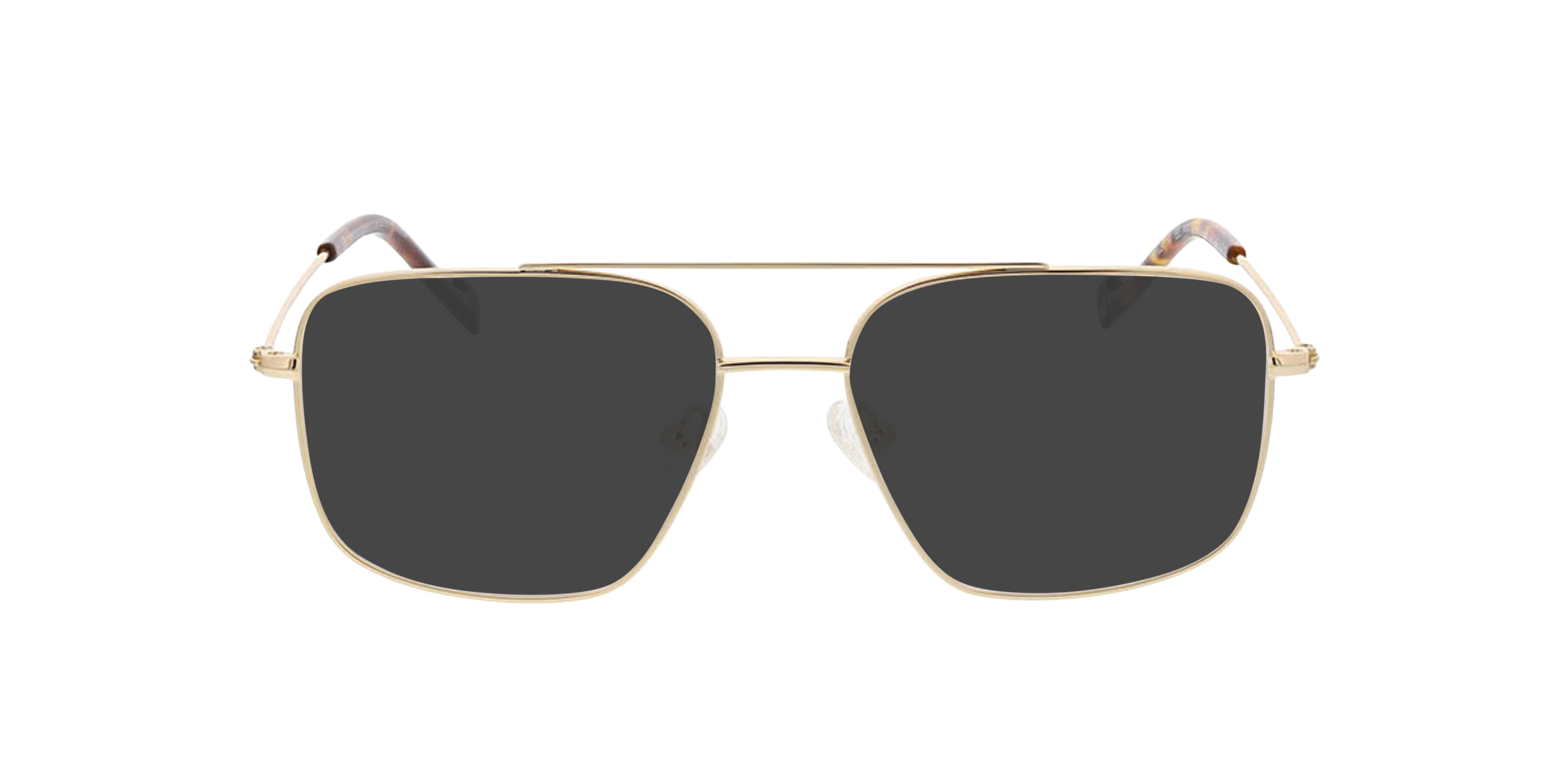 Detroit Goud MetaalEyeglass Frames van B24, met getinte lenzen