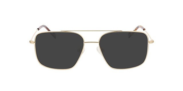 Detroit Goud MetaalEyeglass Frames van B24, met getinte lenzen