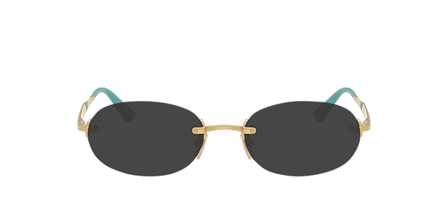 VO4343 Gold MetallEyeglass Frames von B24, mit getönten Gläsern