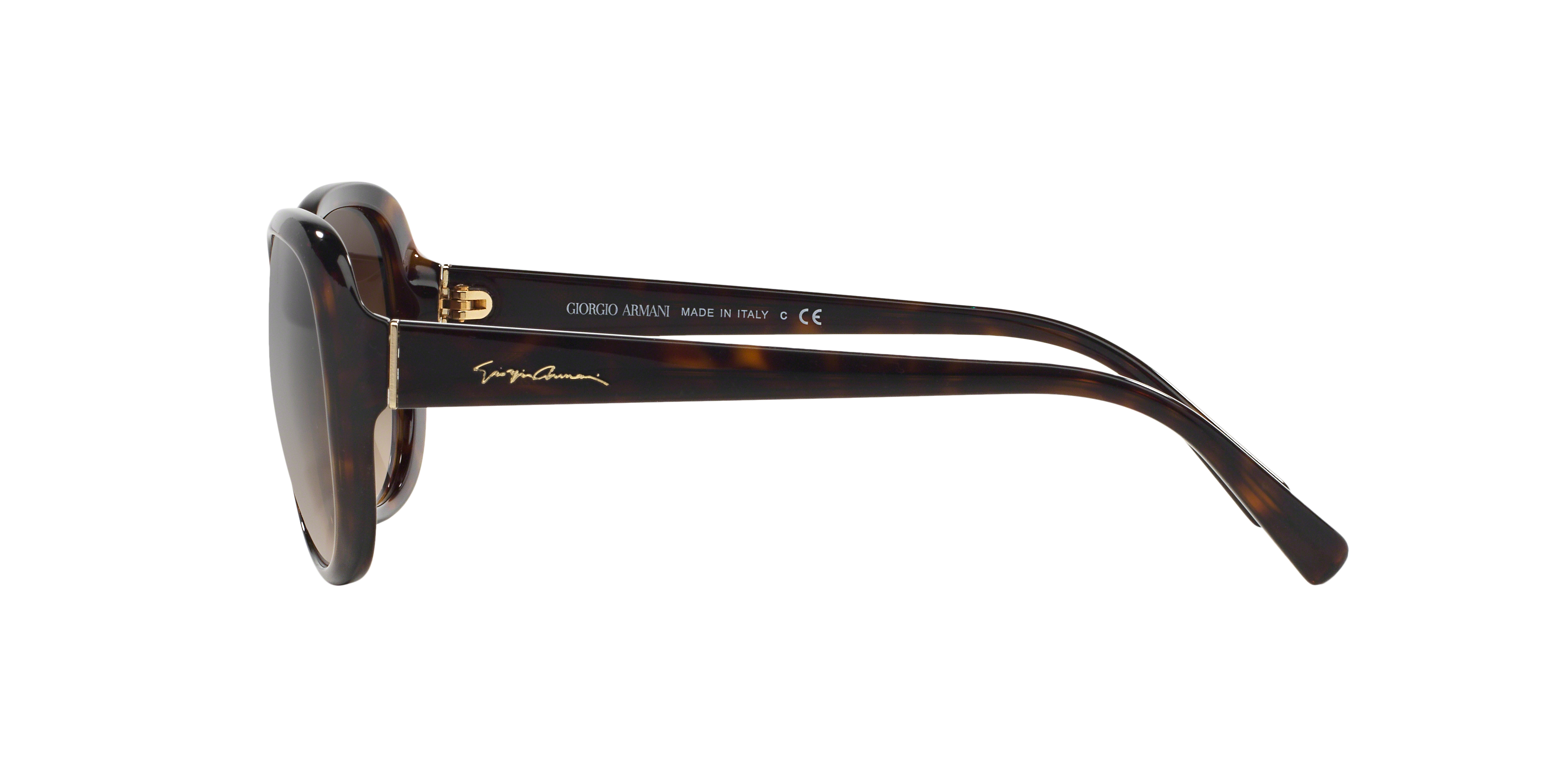 AR8047 Havana AcetatSunglass Frames von B24, Seitenansicht