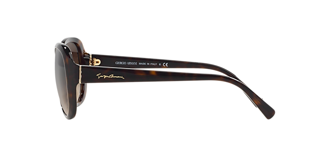 AR8047 Havana AcetaatSunglass Frames van B24, Zijaanzicht