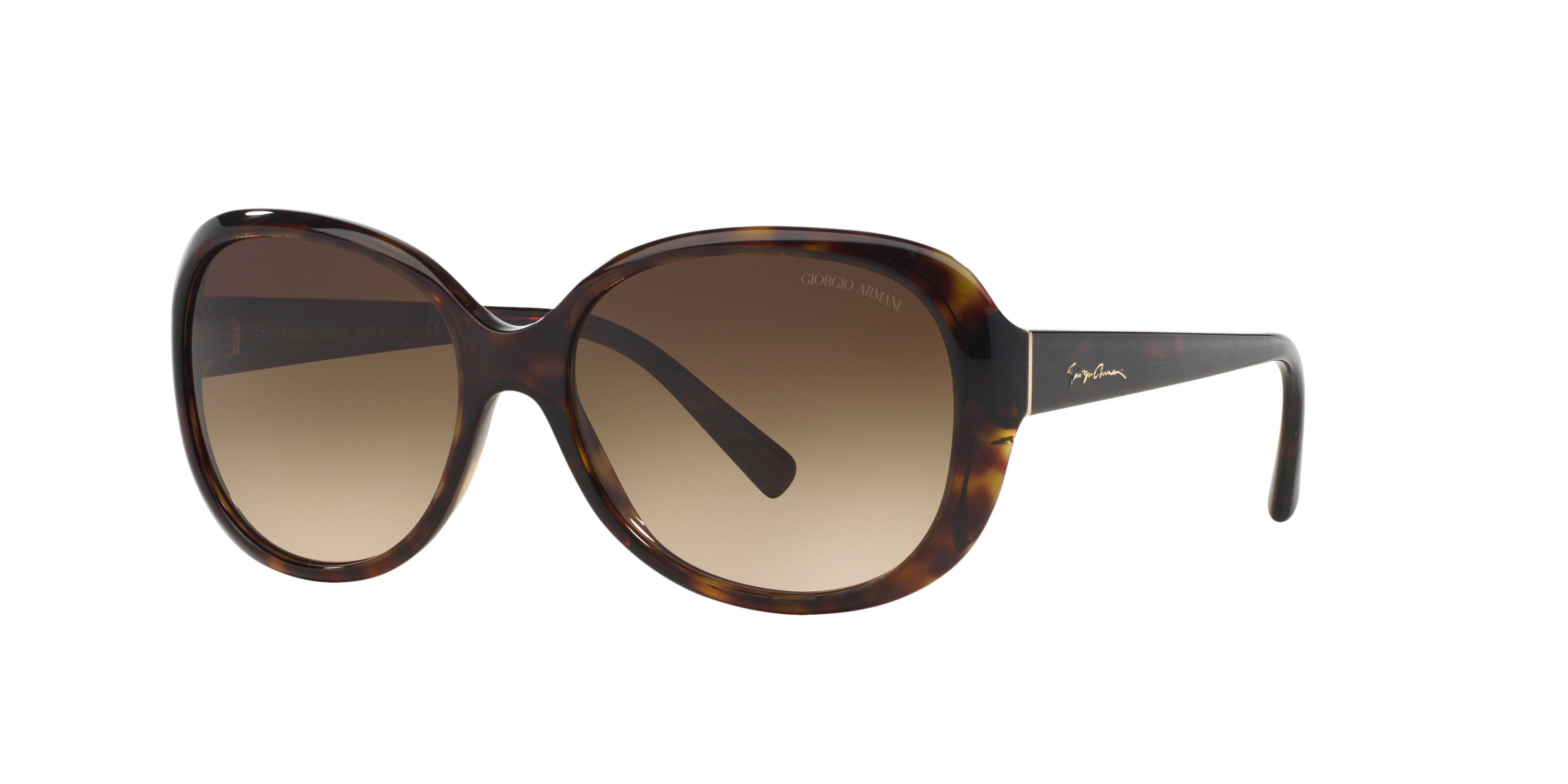 AR8047 Havana AcetatSunglass Frames von B24, Dreiviertelansicht