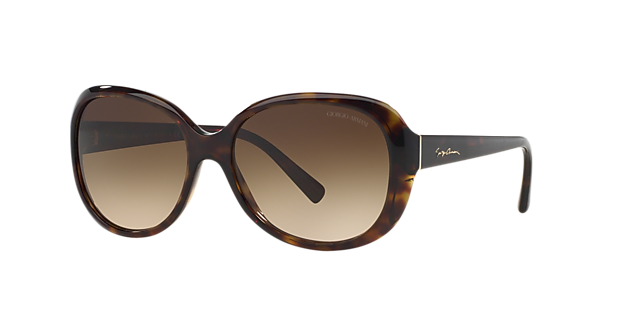 AR8047 Havana AcetaatSunglass Frames van B24, Hoekweergave