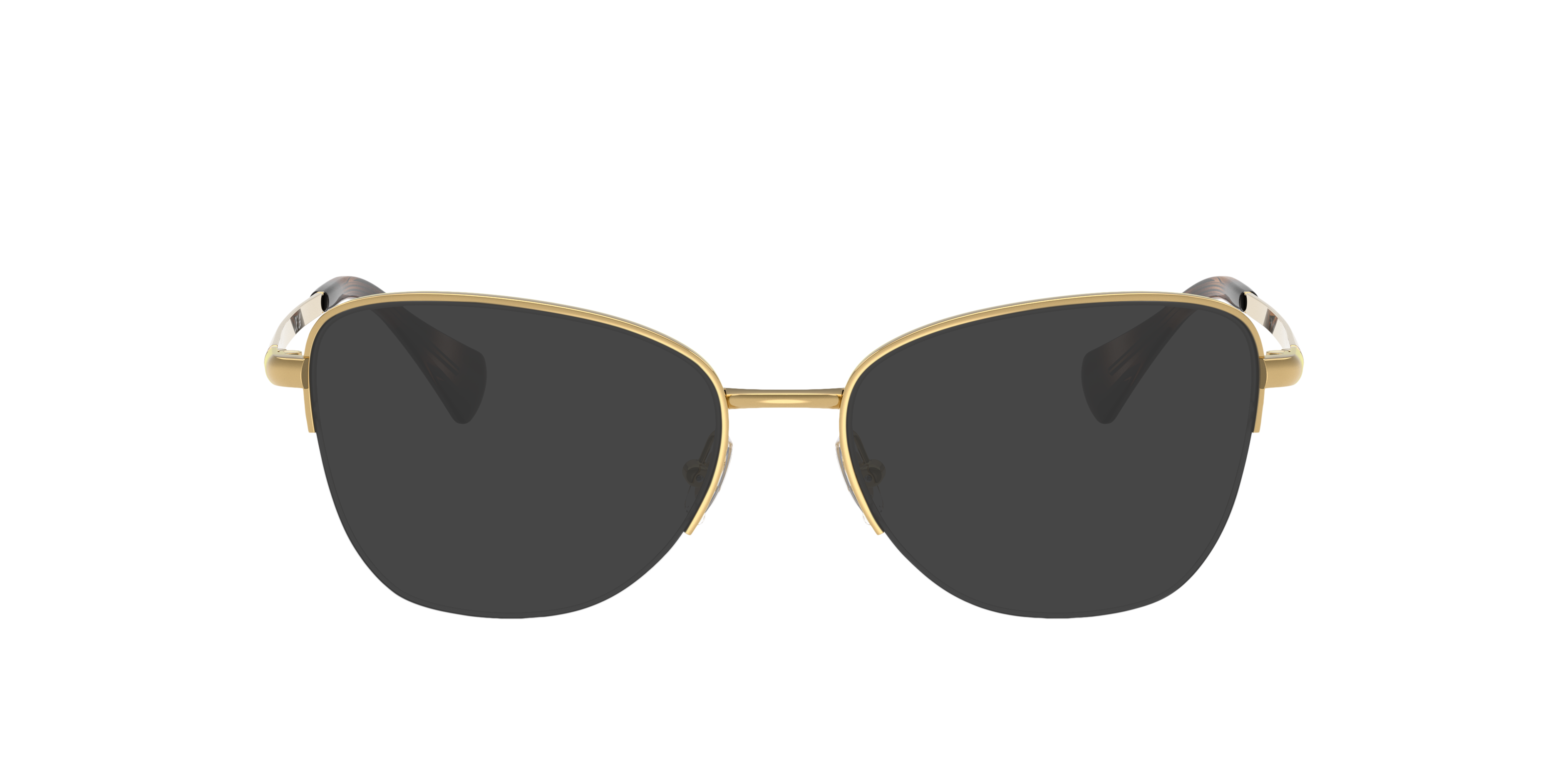 RA6061 Glanzend goud MetaalEyeglass Frames van B24, met getinte lenzen