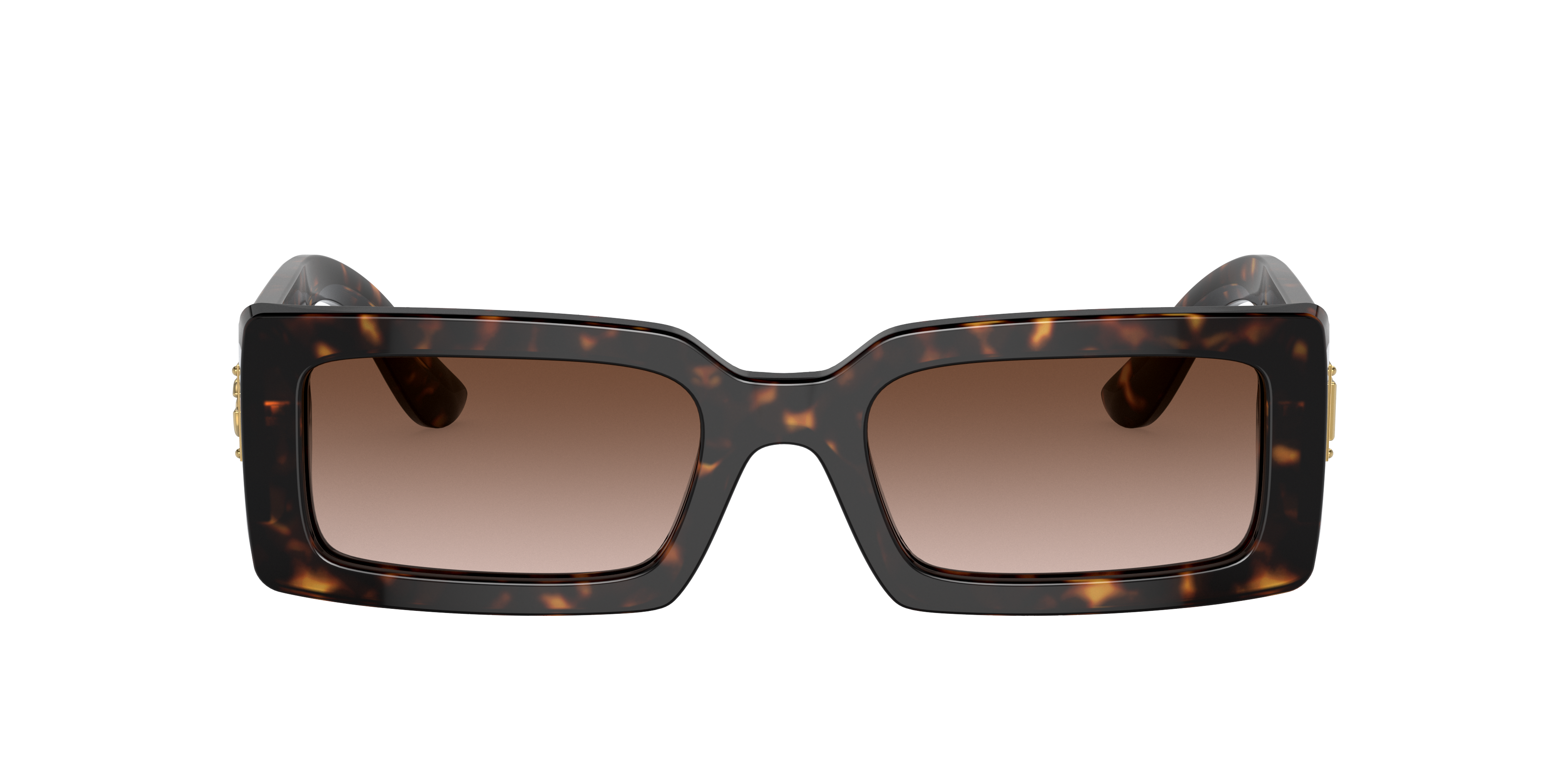 Dolce&Gabbana 8056597756235 Havana/black, Size: Durchschnittlich