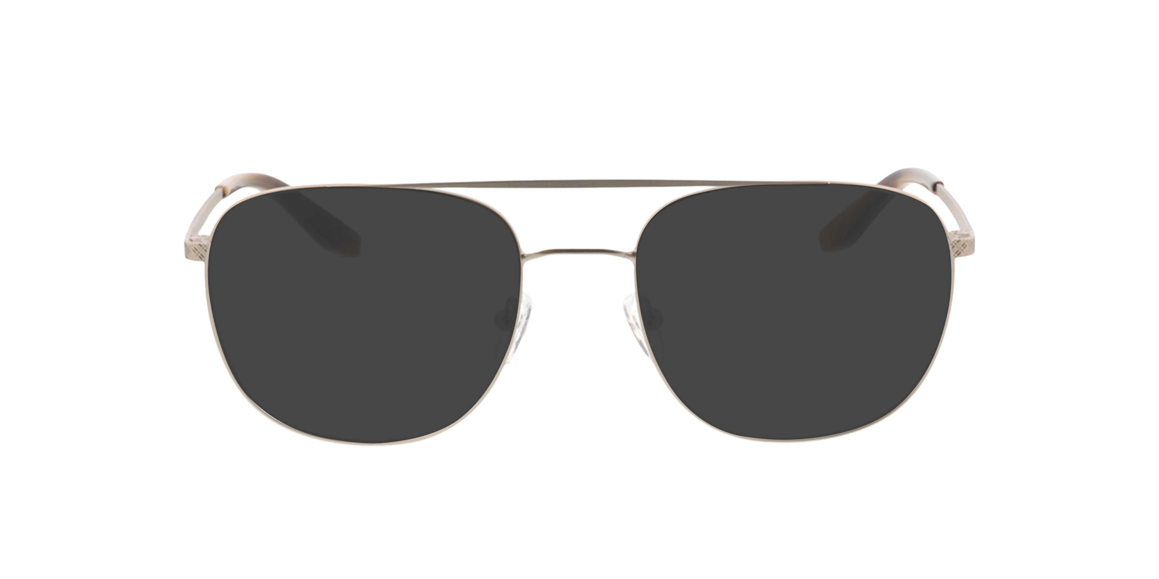 Atlas Zilver  &  bruin hoorn MetaalEyeglass Frames van B24, met getinte lenzen