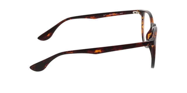 San Francisco Mat Havana KunststofEyeglass Frames van B24, Zijaanzicht