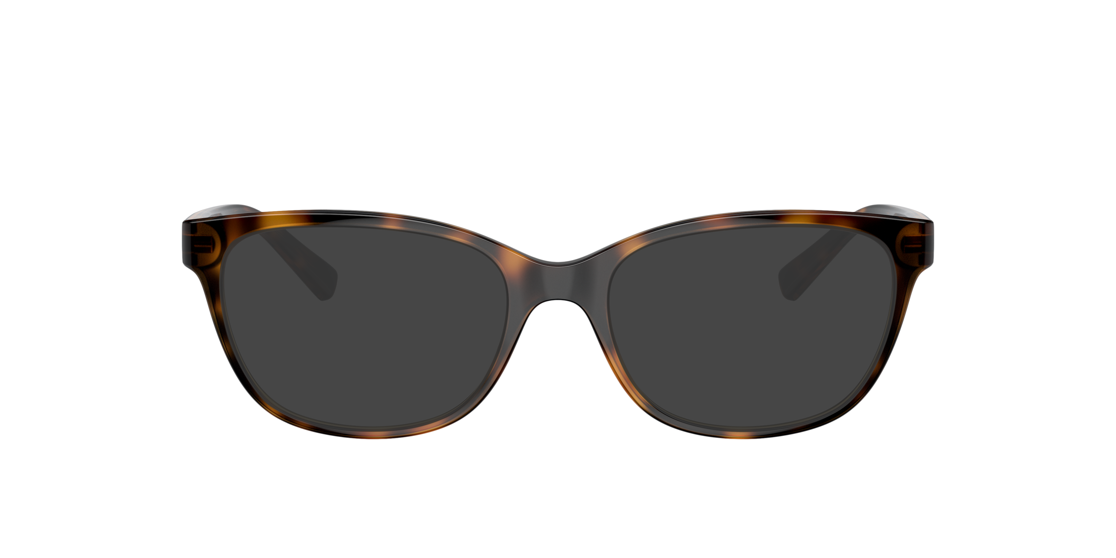 AX3037 Glanzend Havana KunststofEyeglass Frames van B24, met getinte lenzen