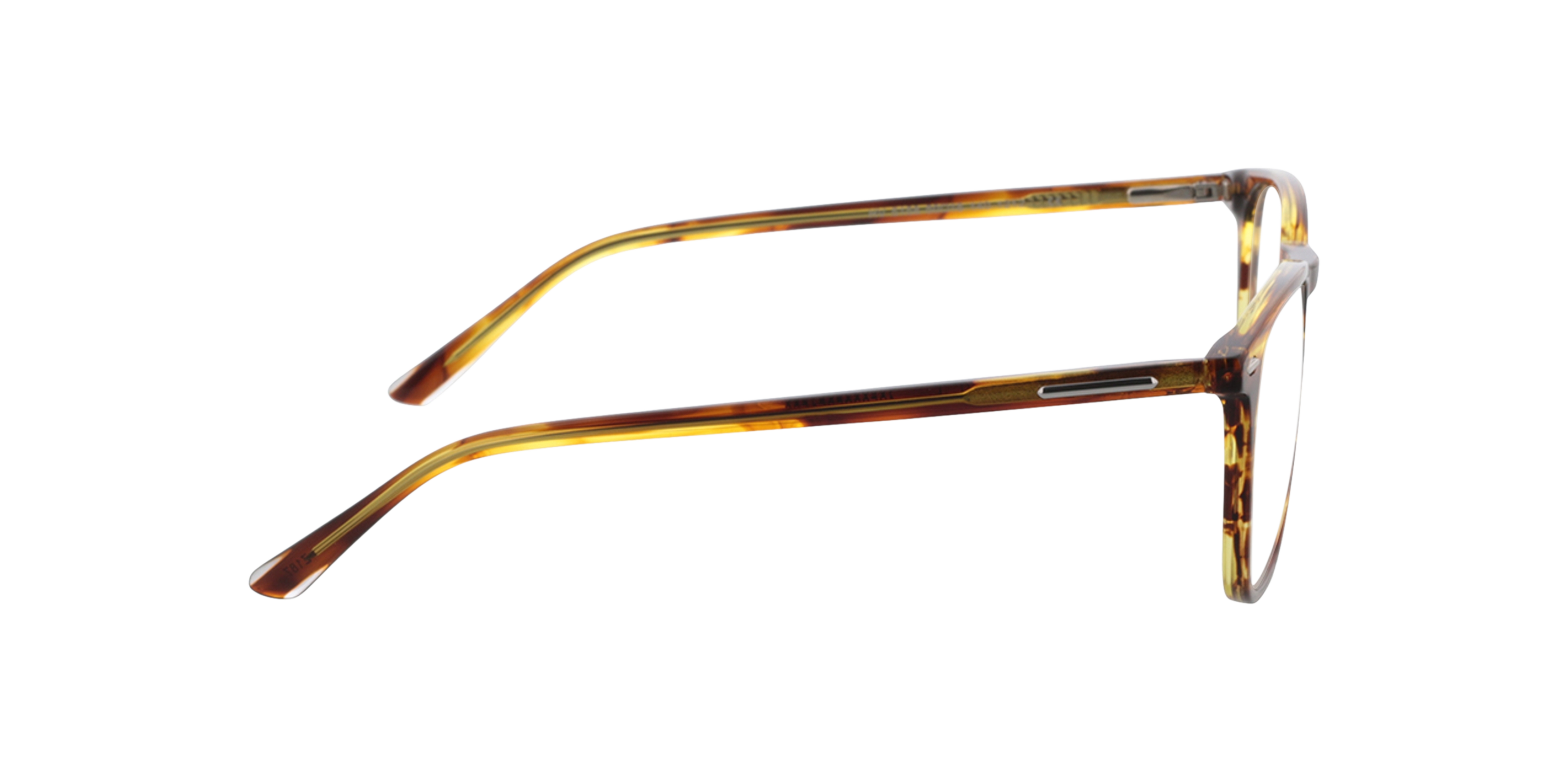 Noah Braun Hornfarben AcetatEyeglass Frames von B24, Seitenansicht