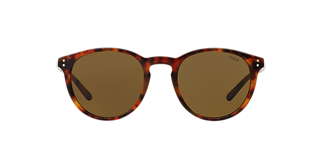 PH4110 Havana AcetatSunglass Frames von B24, Vorderansicht