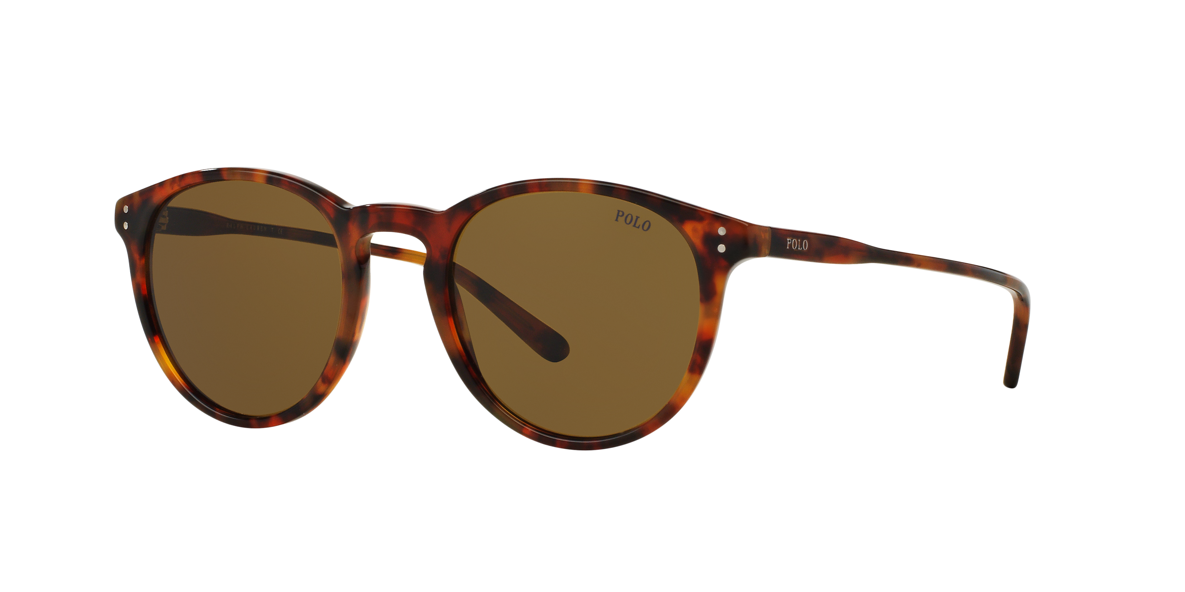 PH4110 Havana AcetatSunglass Frames von B24, Dreiviertelansicht