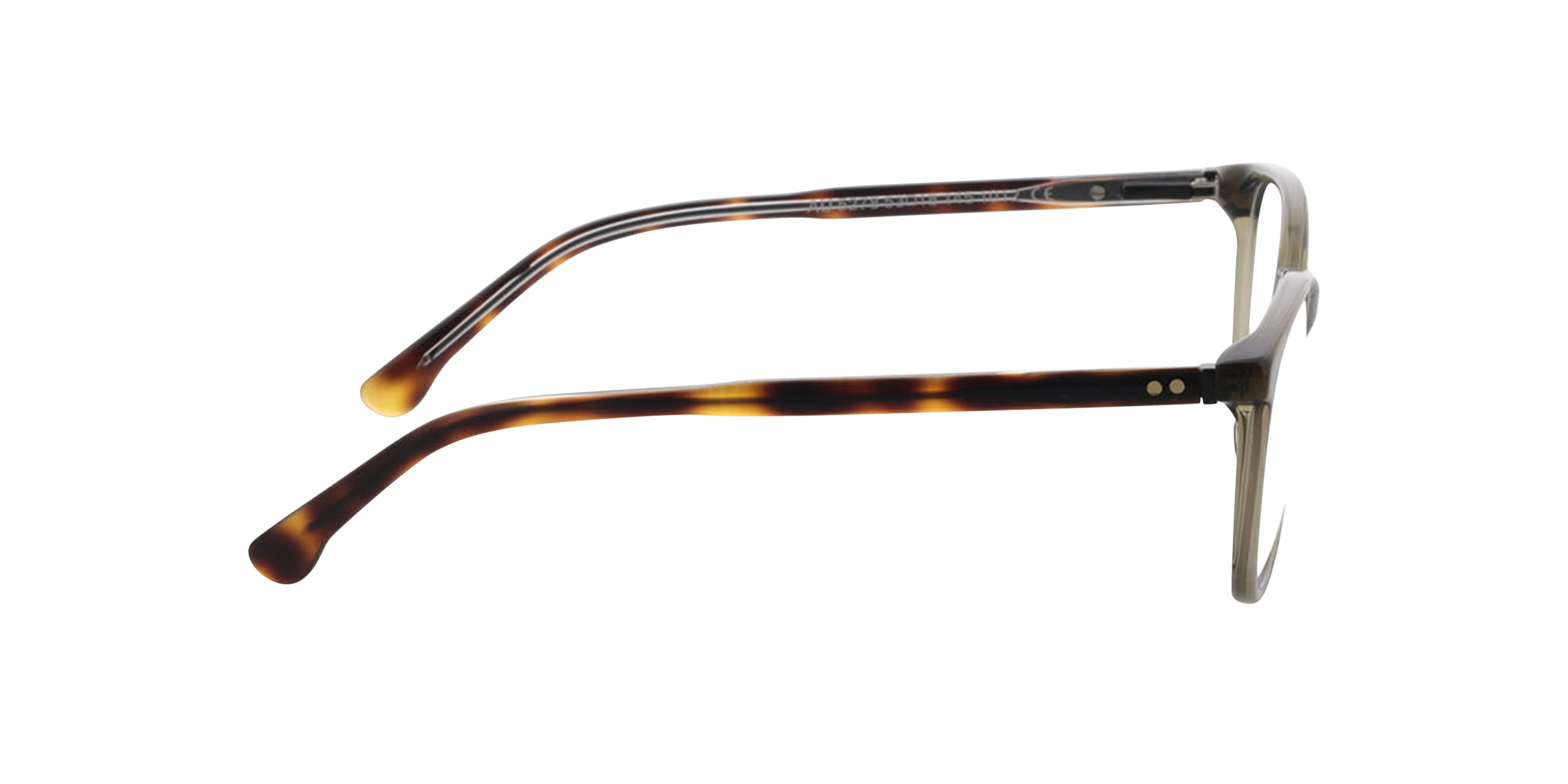 Kensington Groen  &  tweelaags Havana kristal AcetaatEyeglass Frames van B24, Zijaanzicht