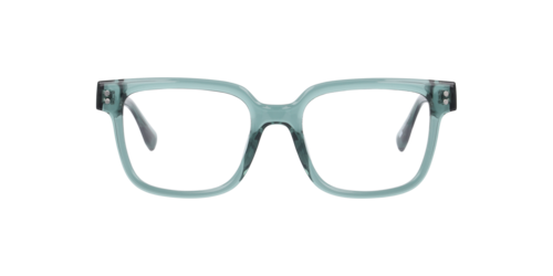 Brille24 - Texas, Herren, Crystal Grün/Havana/Crystal Green, Größe: Large