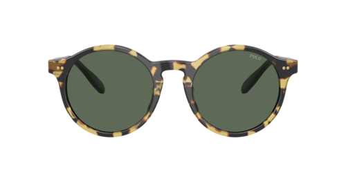 Polo Ralph Lauren - PH4204U, Herren, Shiny Tortoise Brown, Größe: Large