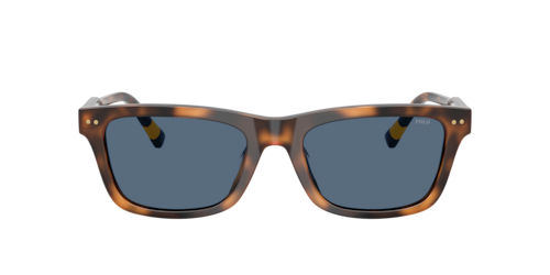 Polo Ralph Lauren - PH4240U, Herren, Shiny Red Havana/Shiny Black, Größe: Durchschnittlich