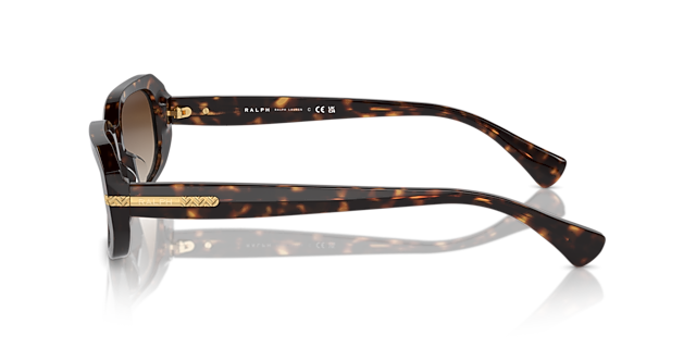 RA5311U Glänzendes Dunkelhavana AcetatSunglass Frames von B24, Seitenansicht