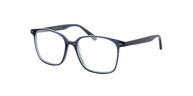 Taylor Kristal blauw grijs  &  zilver AcetaatEyeglass Frames van B24, Hoekweergave