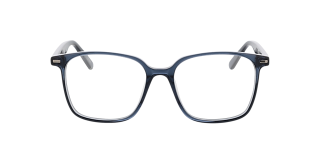 Taylor Kristal blauw grijs  &  zilver AcetaatEyeglass Frames van B24, Vooraanzicht