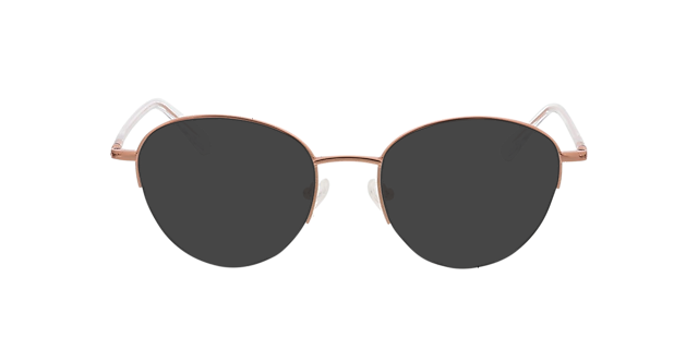 Portland Lichtroze goud MetaalEyeglass Frames van B24, met getinte lenzen