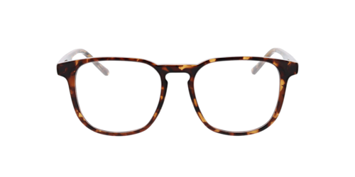 Brille24 - Minnesota, Havana/Crystal Green/Crystal Blue, Größe: Large