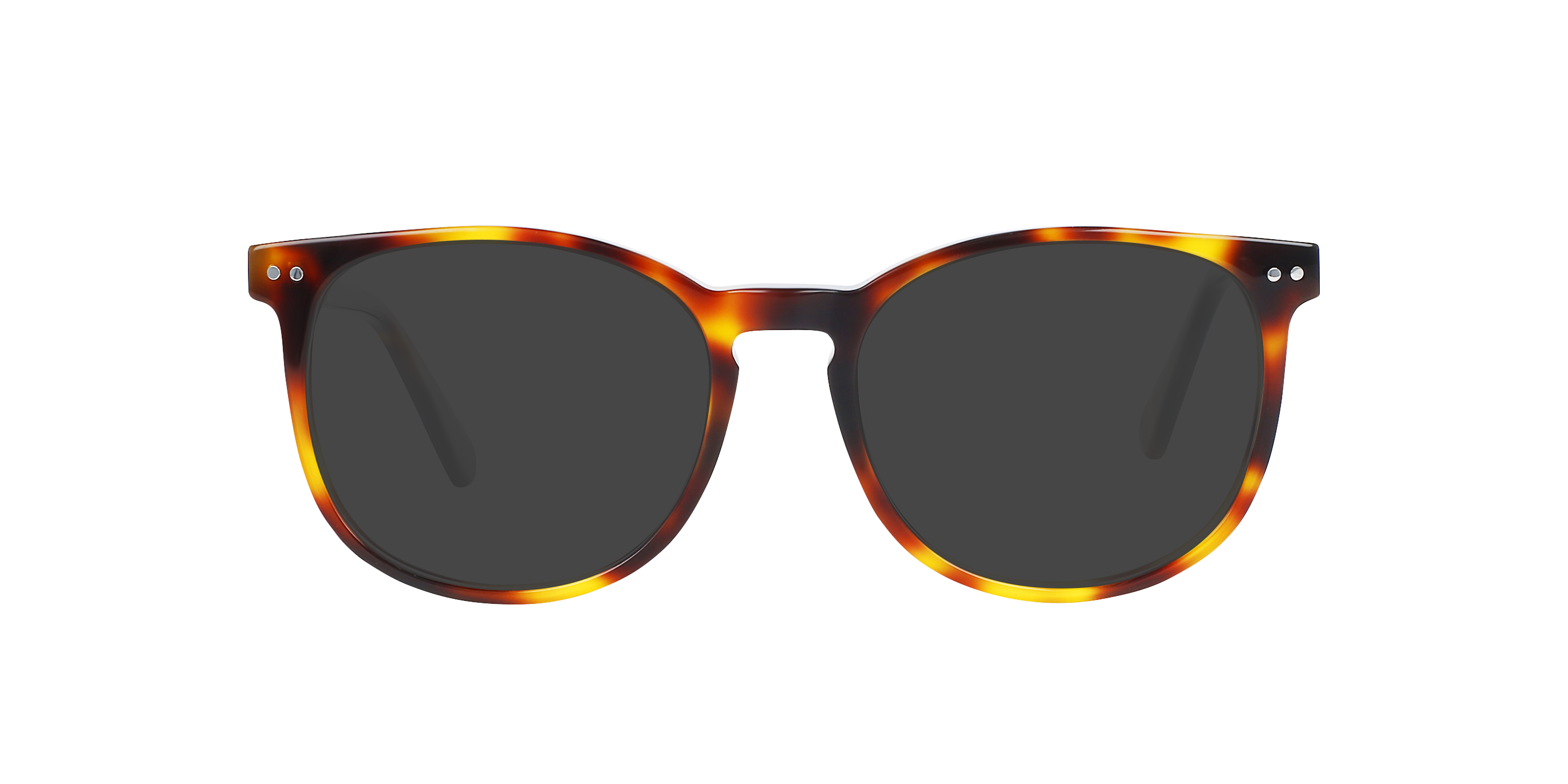 BARRON Havana Cigars AcetaatEyeglass Frames van B24, met getinte lenzen