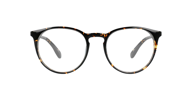 Grande Rotondo Scales Havana AcetaatEyeglass Frames van B24, Vooraanzicht