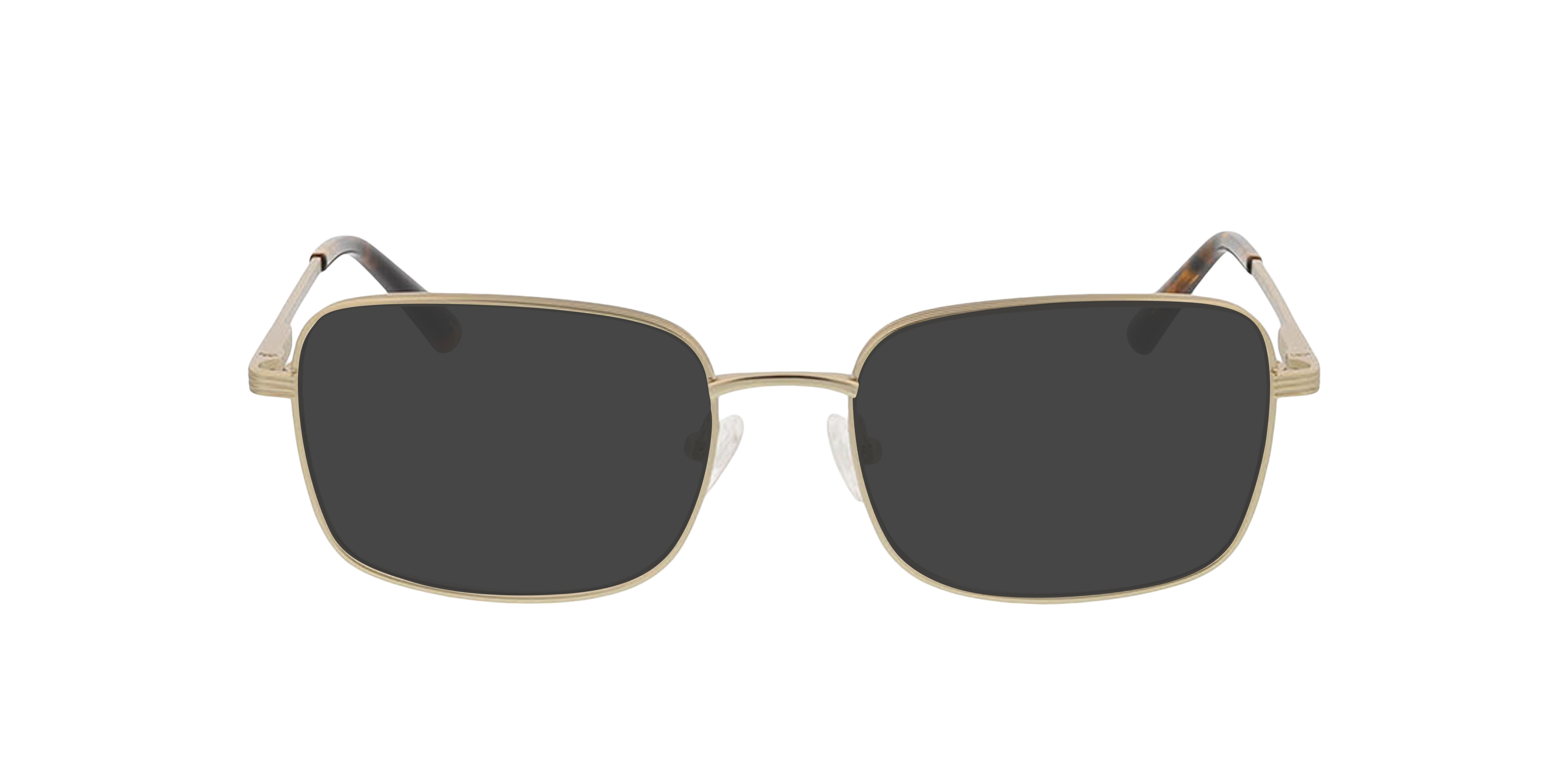 Harry Mat lichtgoud MetaalEyeglass Frames van B24, met getinte lenzen