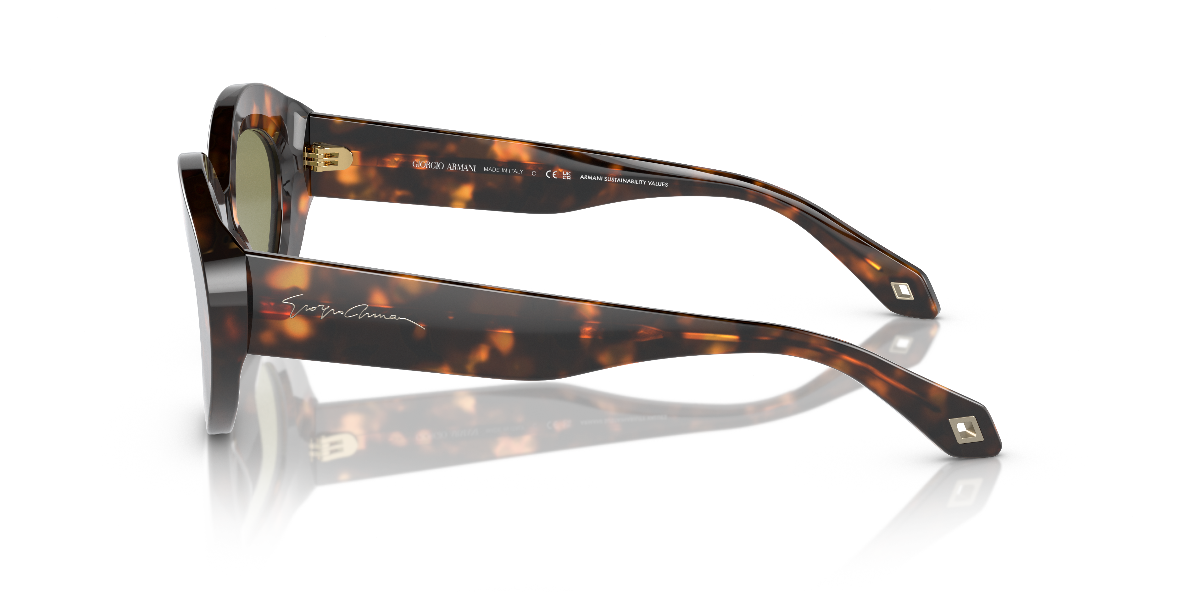 AR8188 Honing Havana AcetaatSunglass Frames van B24, Zijaanzicht