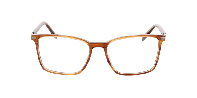 Wembley Honing hoorn  &  matzilver AcetaatEyeglass Frames van B24, Vooraanzicht