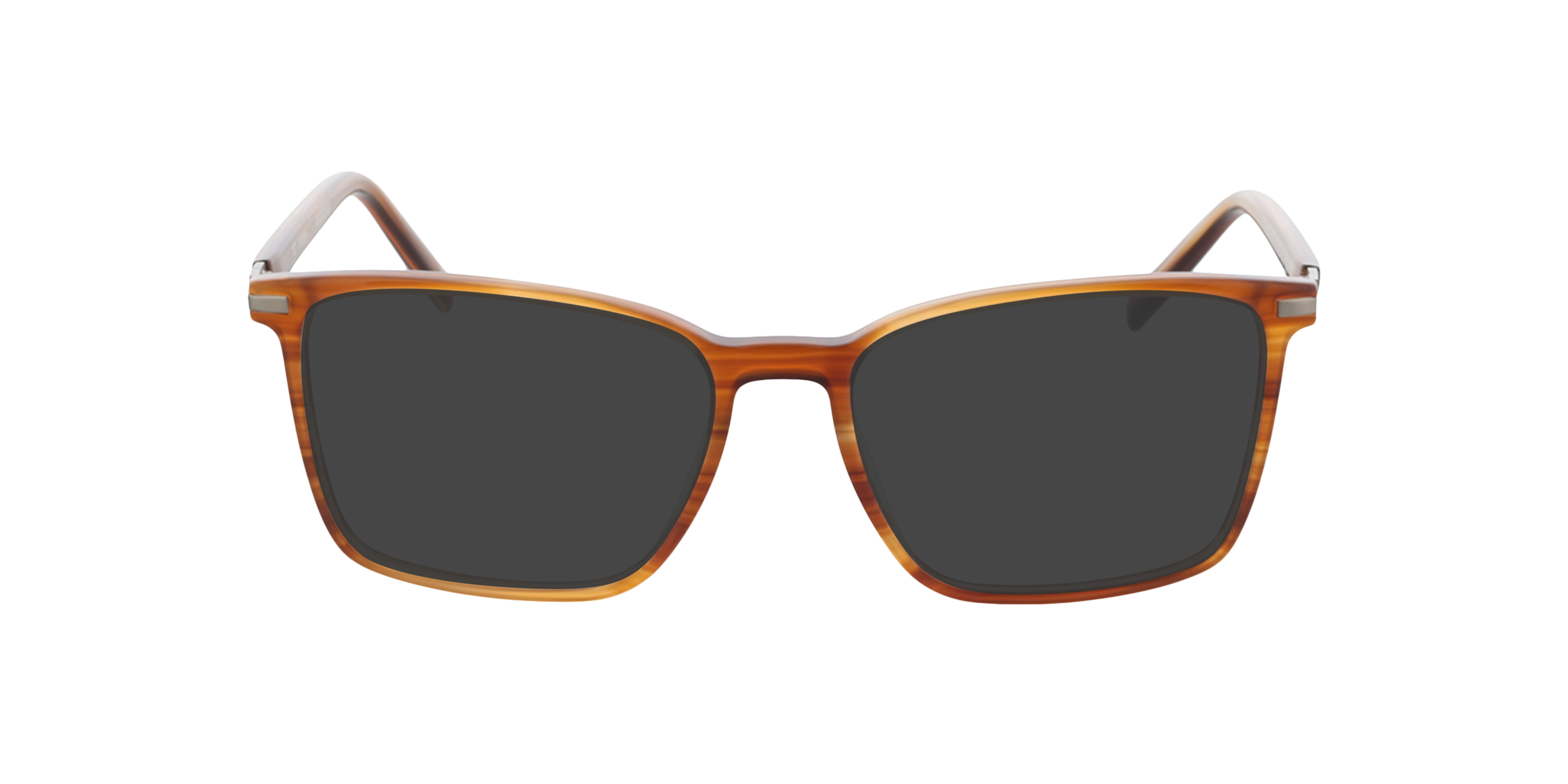 Wembley Honey Horn  &  Matt Silver AcetatEyeglass Frames von B24, mit getönten Gläsern