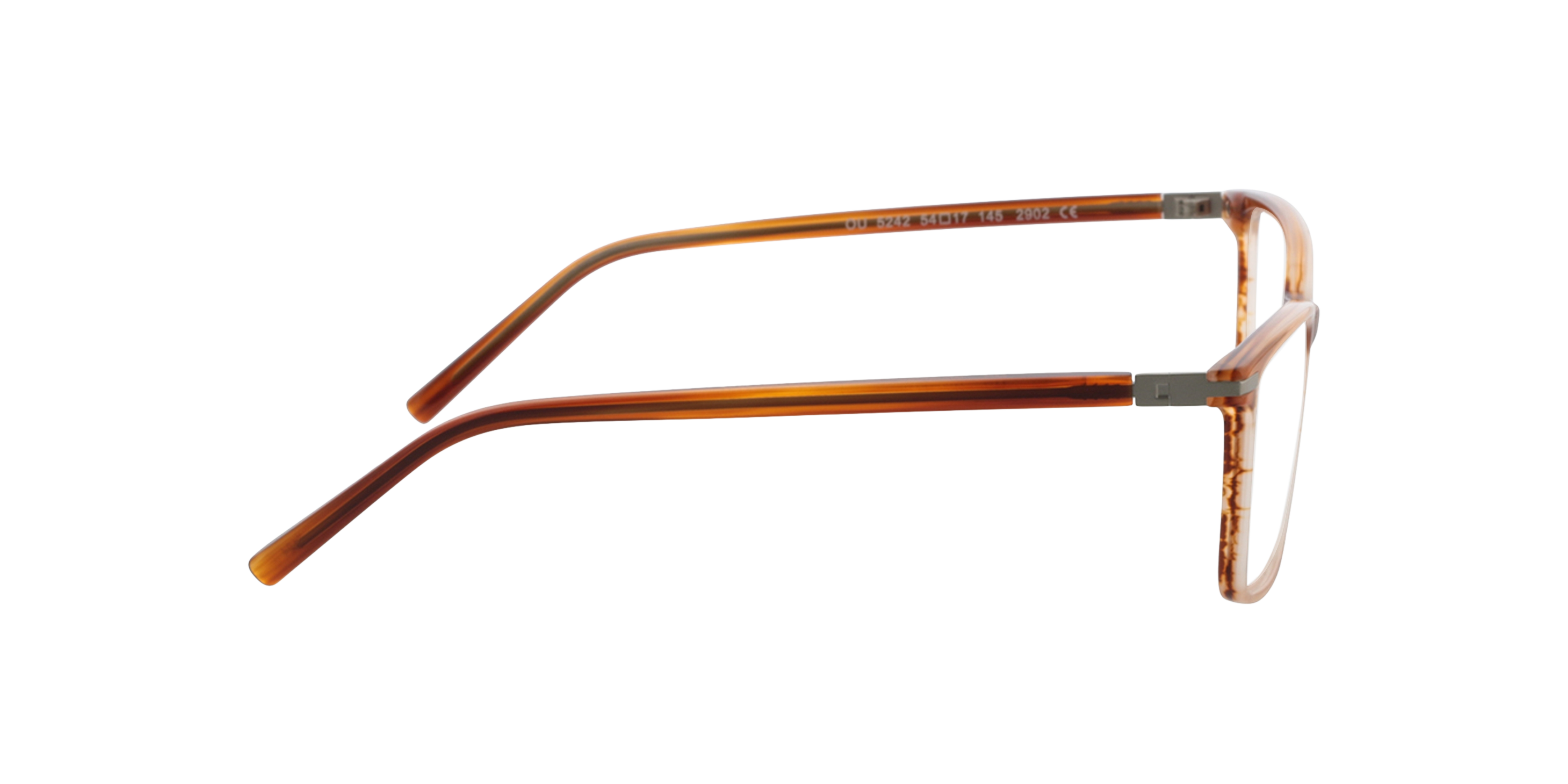 Wembley Honey Horn  &  Matt Silver AcetatEyeglass Frames von B24, Seitenansicht