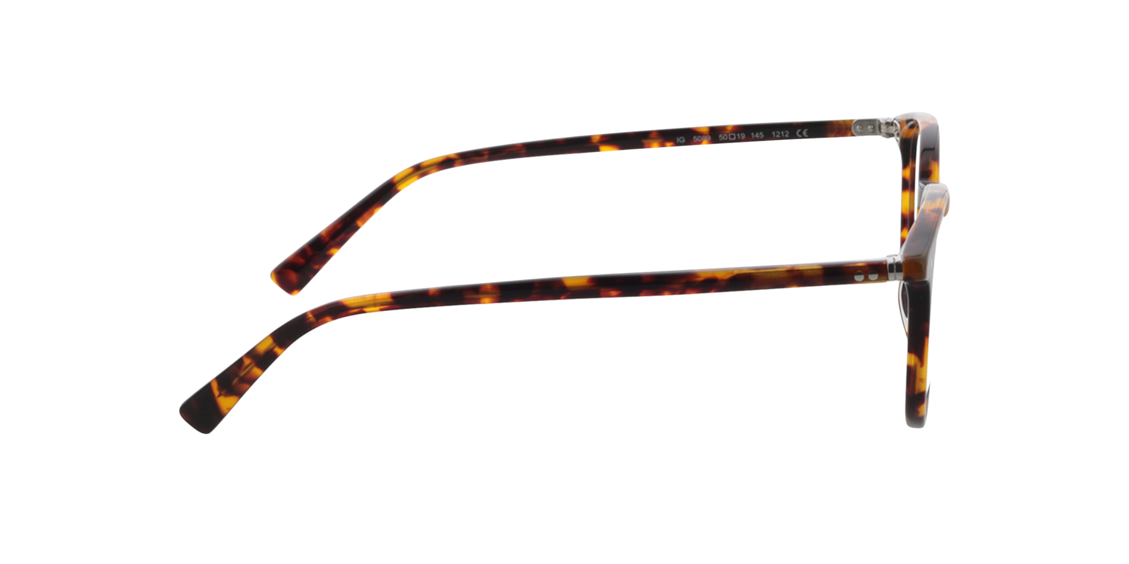 Serena Havana AcetatEyeglass Frames von B24, Seitenansicht