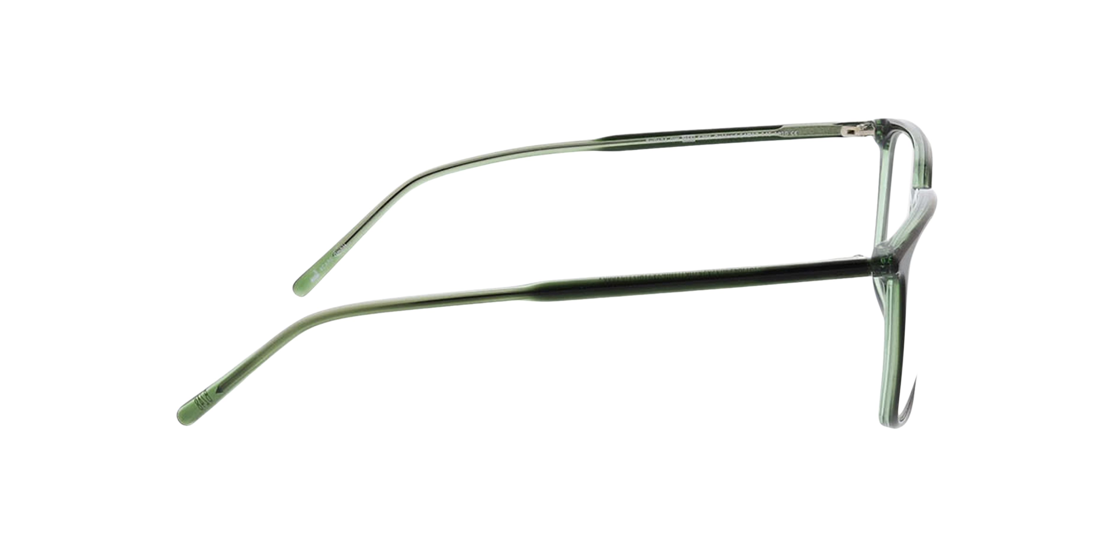 Oakland Bilayer Green  &  Crystal Green AcetatEyeglass Frames von B24, Seitenansicht