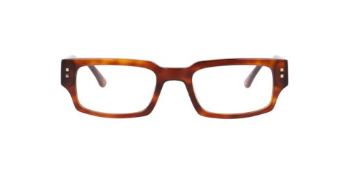 Brille24 - Kingston, Damen, Honey Havana/Havana/Black, Größe: Durchschnittlich