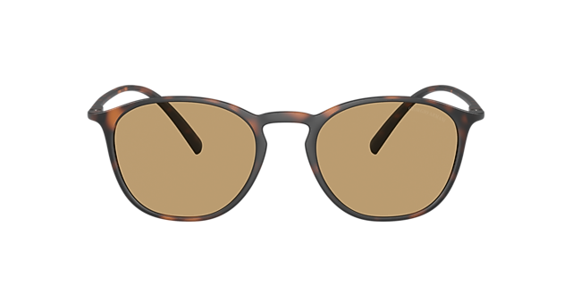 AR8186U Havana KunststoffSunglass Frames von B24, mit getönten Gläsern