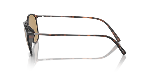 AR8186U Havana KunststoffSunglass Frames von B24, Seitenansicht