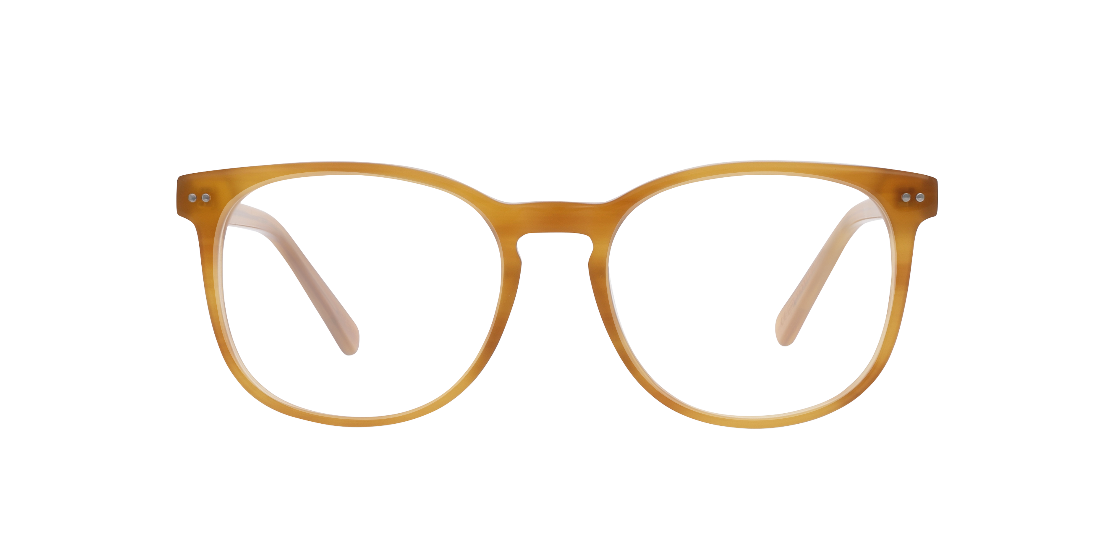 Charlie Temple 8721321261391 Garnet Havana/havana/moonlight Tortoise, Size: Durchschnittlich