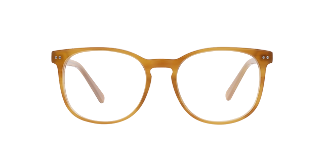 BARRON Garnet Havana AcetaatEyeglass Frames van B24, Vooraanzicht