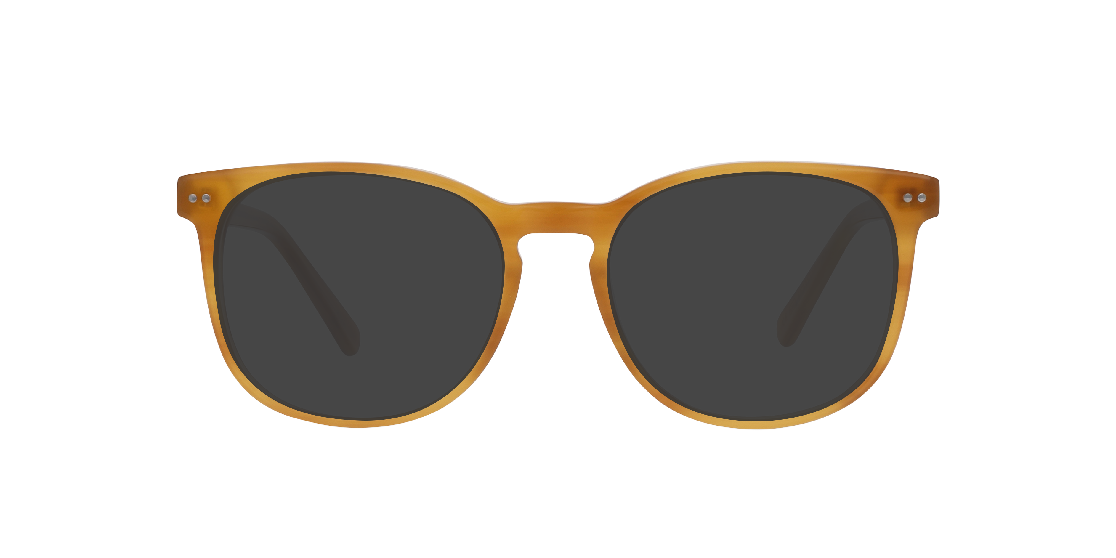 BARRON Garnet Havana AcetatEyeglass Frames von B24, mit getönten Gläsern