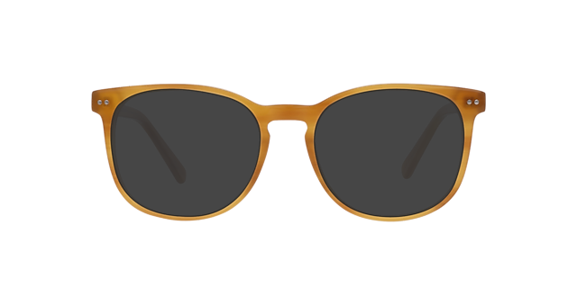 BARRON Garnet Havana AcetaatEyeglass Frames van B24, met getinte lenzen