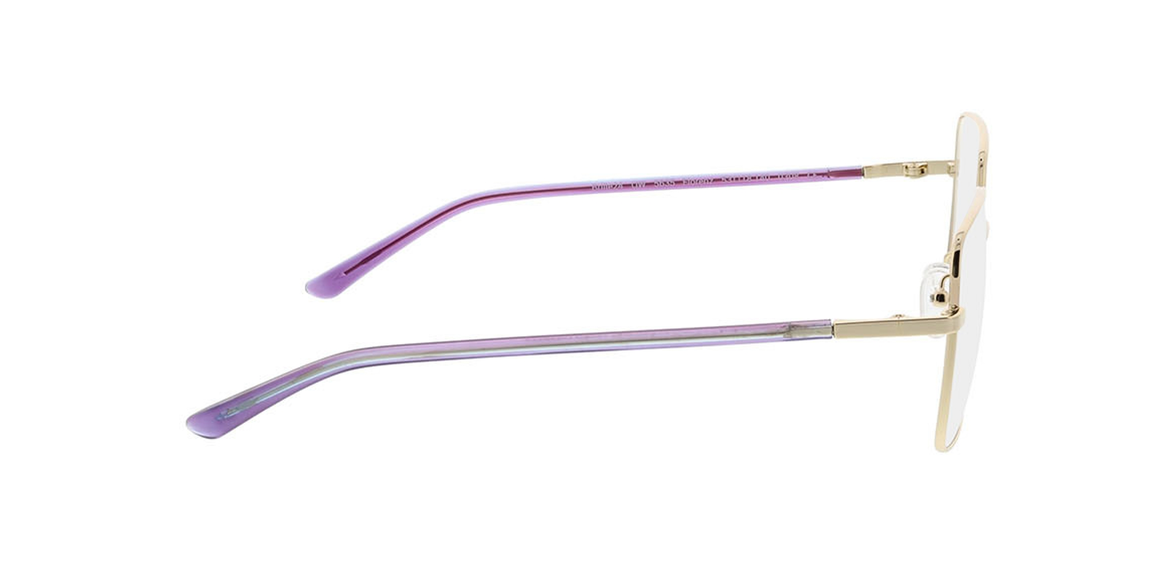 Florenz Gold MetallEyeglass Frames von B24, Seitenansicht