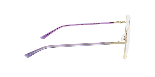 Florenz Goud MetaalEyeglass Frames van B24, Zijaanzicht