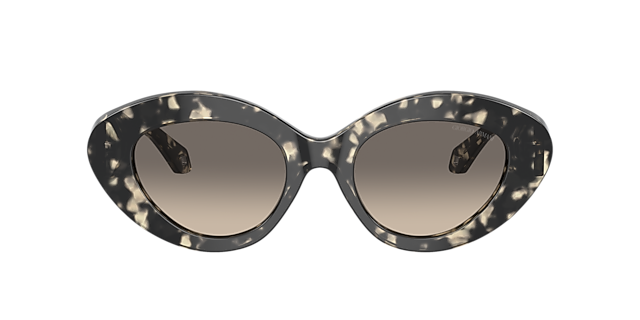 AR8188 Havana Grau AcetatSunglass Frames von B24, mit getönten Gläsern