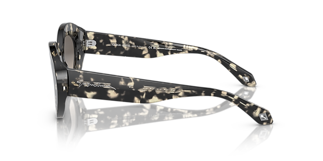 AR8188 Havana Grau AcetatSunglass Frames von B24, Seitenansicht