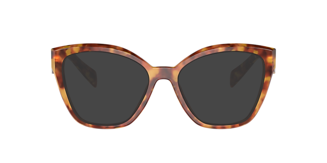 PR 20ZV Baun & Havana AcetatEyeglass Frames von B24, mit getönten Gläsern