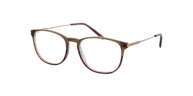 Dustin Gradiënt bruin & goud & bruin AcetaatEyeglass Frames van B24, Hoekweergave