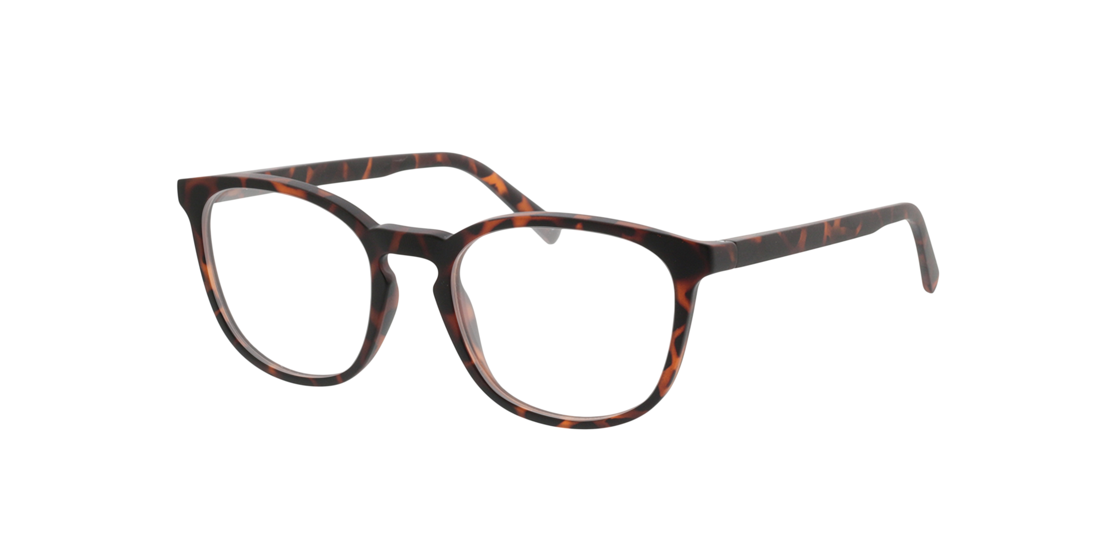Ivy Havana KunststoffEyeglass Frames von B24, Dreiviertelansicht